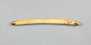 NA891