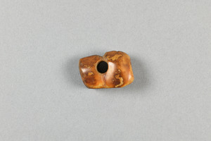 NA1007