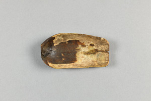 NA1038