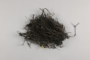 NA7263