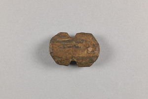 NA10066.1