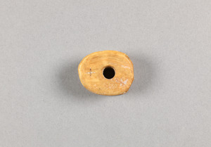 NA10173.2
