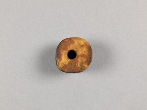 NA10173.10