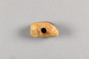 NA10173.12