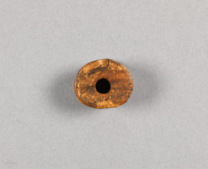 NA10173.13