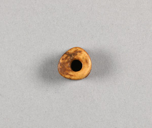 NA10173.14