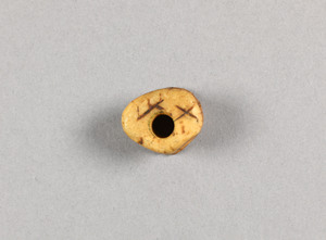 NA10173.17