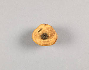 NA10173.20