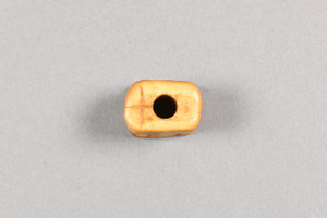 NA10173.21