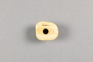 NA10173.22