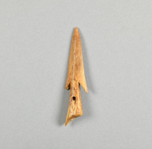 NA4669.1