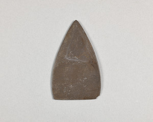 NA4698.1