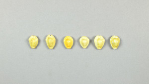 CG2015-10-34