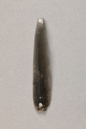 NA11616.10