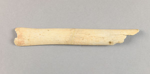 NA11592