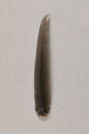 NA11616.9