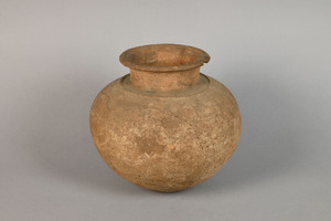 MS2802
