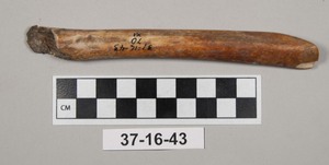 37-16-43