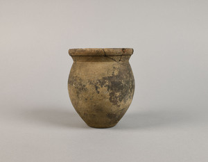 MS3182