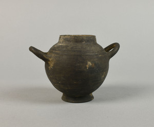 MS3227