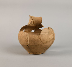 MS3294