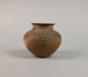 MS3295