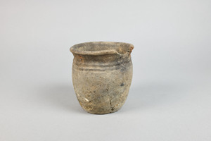 MS2565