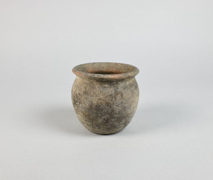 MS2567