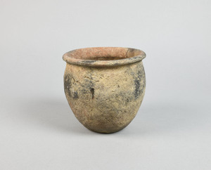 MS2572