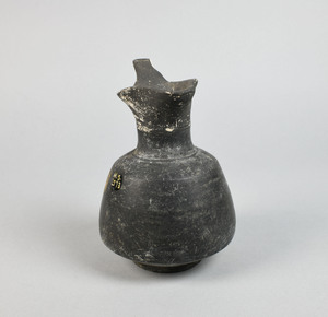MS2573
