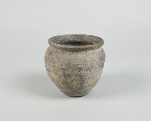 MS2619