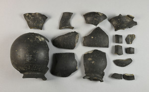 MS3013