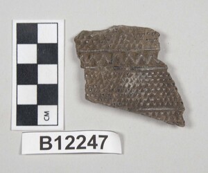 B12247