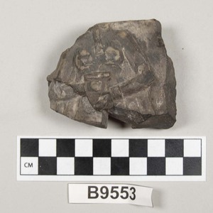 B9553