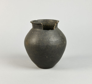 MS491