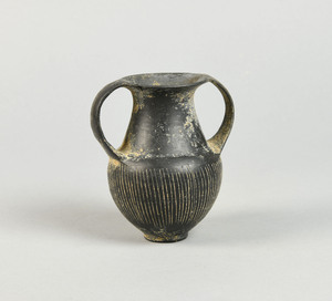 MS492