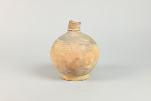 MS493