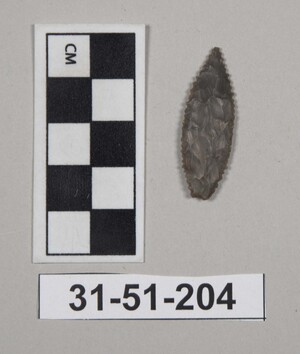 31-51-204