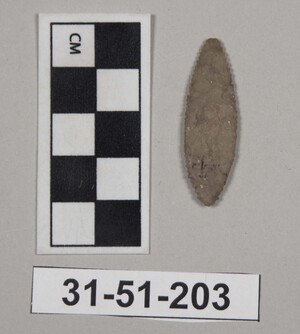 31-51-203