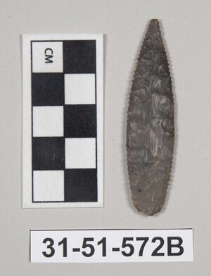 31-51-572B
