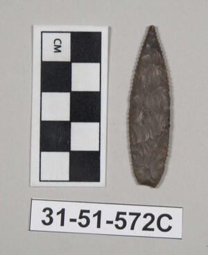 31-51-572C