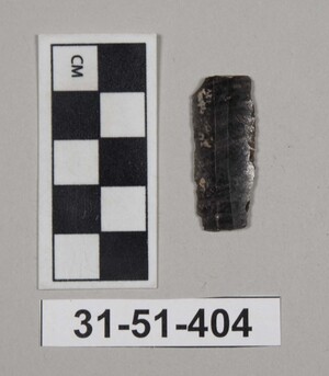 31-51-404