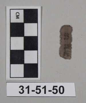 31-51-50