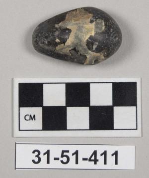 31-51-411