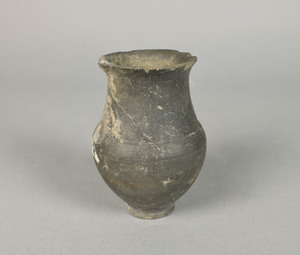 MS2578