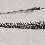 989422