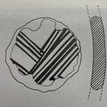 989508