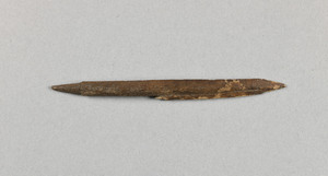 NA7335.1