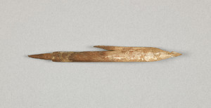 NA9534.2