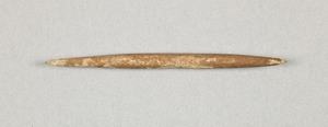NA9558.1